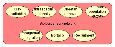 Biological Subnetwork (biological_oobn)